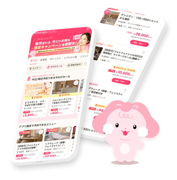 キレイレポのアプリ画面イメージ
